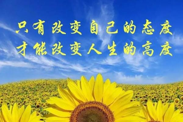 揭示特殊命格的隐秘含义，助你找到人生的方向与目标