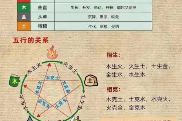 1996年鼠命格解析：性格特征与人生运势的深度剖析