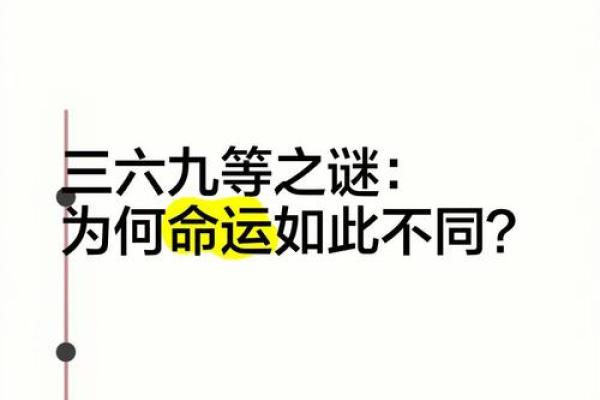 探秘“什么数什么命”：数字背后的命运之谜