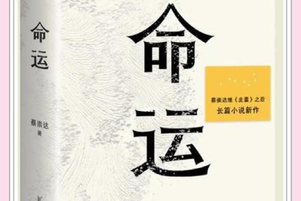 揭开凤凰命格的神秘面纱，探寻命运的转折之路
