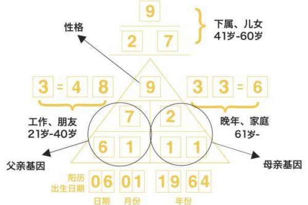 探寻命理的奥秘：了解你的生命蓝图与性格密码