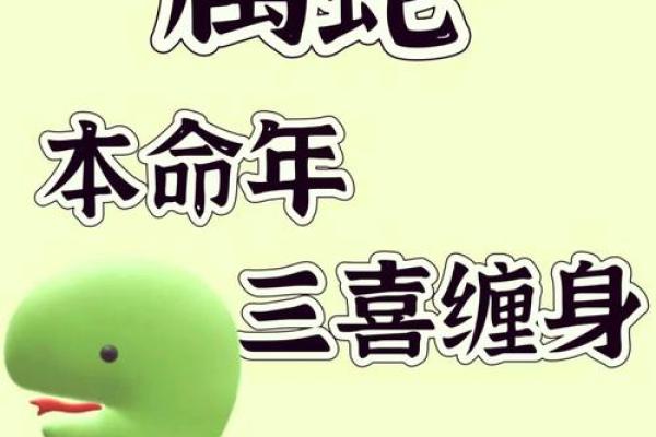木命人士适合佩戴的挂件材质解析，让你的生活充满生机与活力！