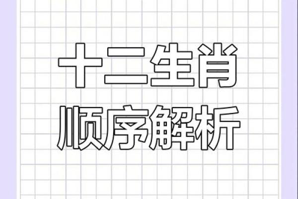 25岁生肖命理解析：解开命运与性格的奥秘