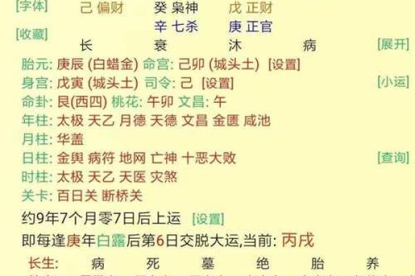揭开命理之谜：丁亥辛亥丙子的命运解析与人生智慧