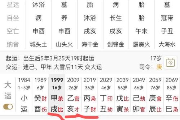 揭开命理之谜：丁亥辛亥丙子的命运解析与人生智慧