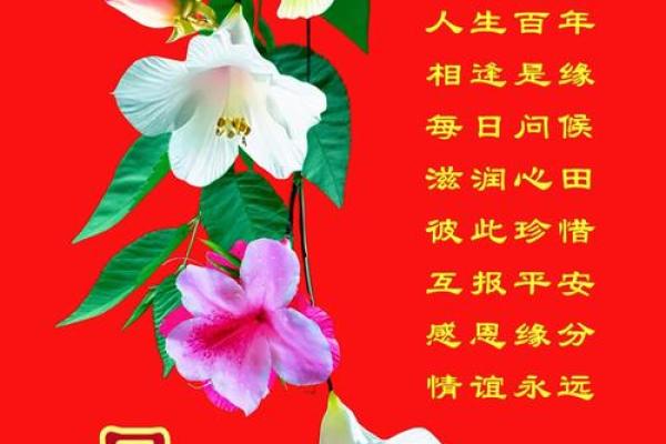 49岁属鸡的命运：从五行看人生的转折与机遇