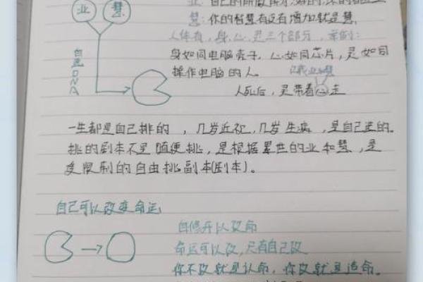 一九九三年的属相及其命理解析：探索命运的奥秘与人生方向