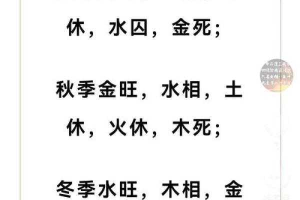 一九九三年的属相及其命理解析：探索命运的奥秘与人生方向