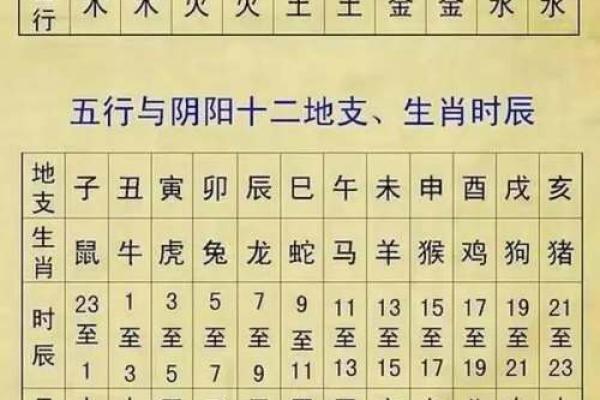 命不强指什么生肖女生？探究性格与命运的奥秘