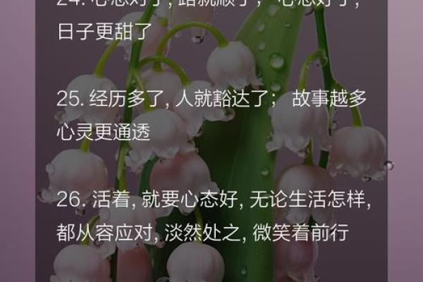 命运在握，人生何用？探寻幸福的钥匙