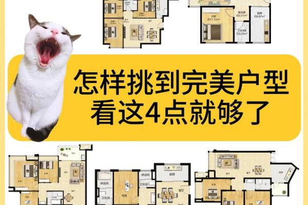西四命购房指南：掌握八大要点，实现理想居住梦想