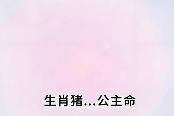 1982年属猪的命运与性格解析：财富与幸福的双重追求
