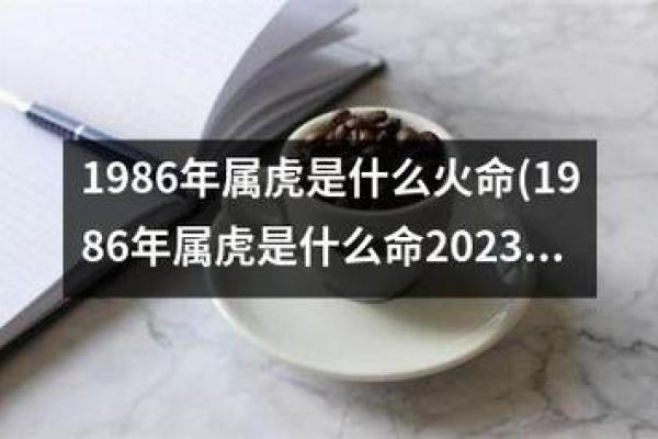 探索1986年：火命的秘密与传奇之年