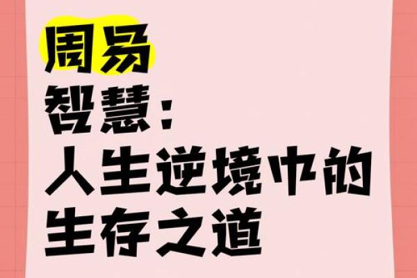 命辰的深意与应用：探索人生之路的智慧