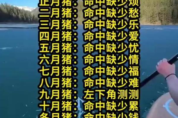 属猪2007年出生者的命运与人生探索
