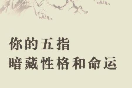1973年出生者的命运与生活：探索人生的奥秘与精彩