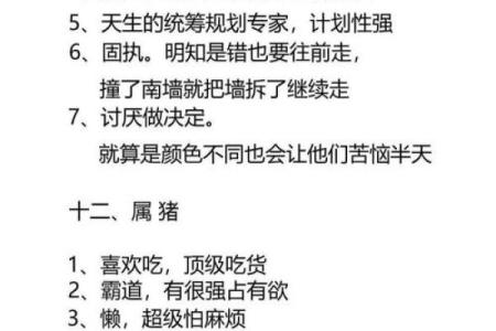 1996年鼠命格解析：性格特征与人生运势的深度剖析