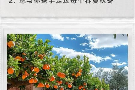 浪漫四季：在自然中寻找生活的诗意与灵感