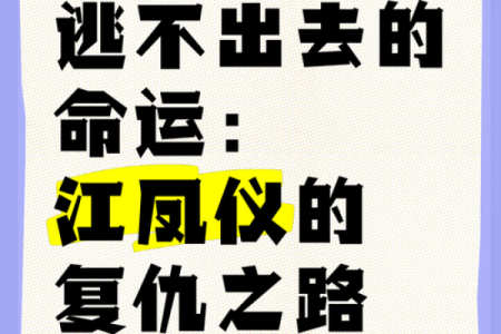 揭开凤凰命格的神秘面纱，探寻命运的转折之路