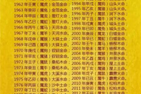 沙中金与金木水火土命的婚配关系探析