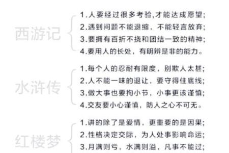 下巴宽的人生智慧：从容应对生活的挑战与机遇