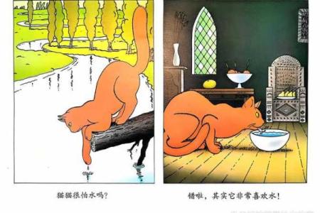 探秘猫猫二命：让猫咪变身的小秘密！