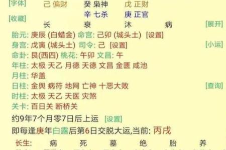 揭开命理之谜：丁亥辛亥丙子的命运解析与人生智慧