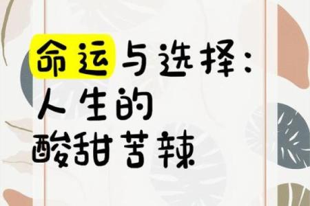 不同命运的人如何选择适合自己的生活方式