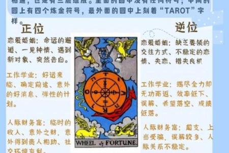 03年出生的男孩命运解析：性格与未来的契机