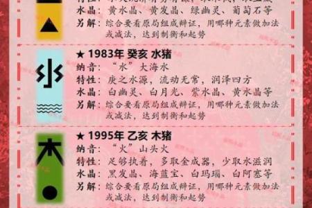 属猪辰时男孩的命理解析与人生运势探秘