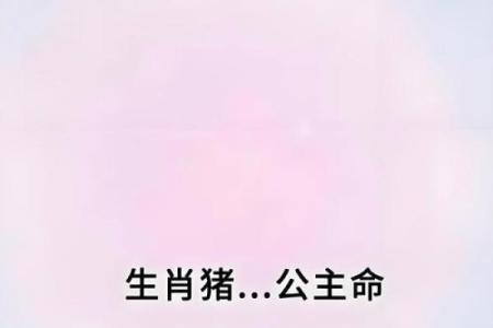 1982年属猪的命运与性格解析：财富与幸福的双重追求