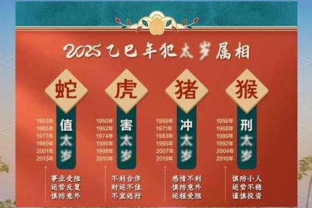 1963年的虎：命运与性格的深度解析
