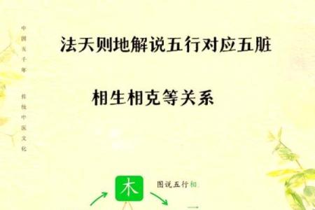 五行缺水的命格解析：探寻水元素的缺失与平衡之道