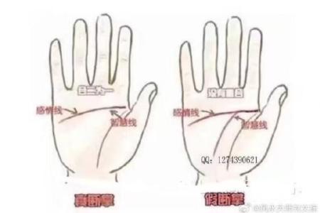 右手女人断掌：命运与性格的深刻解读
