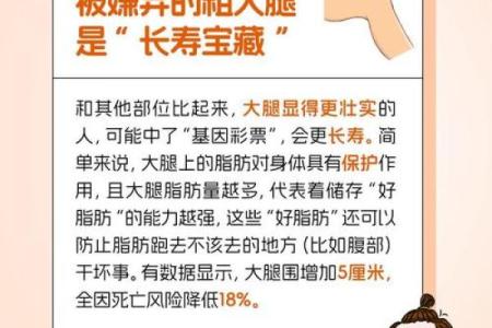 从男人大腿粗壮看命运：身体与命理的奇妙联系