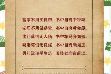 探秘“王”的含义：从古至今的象征与启示
