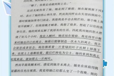 多情之命：情感与宿命的交织之旅