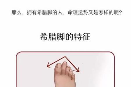 大脚趾很短的命运分析：探索短脚趾背后的深层意义