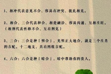 解密三合命：八字命理中的命运交织与和谐美好