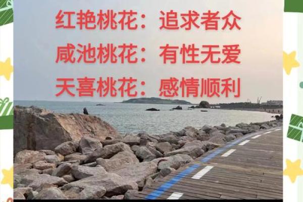 探秘桃花命：不同出生时辰对爱情运势的影响