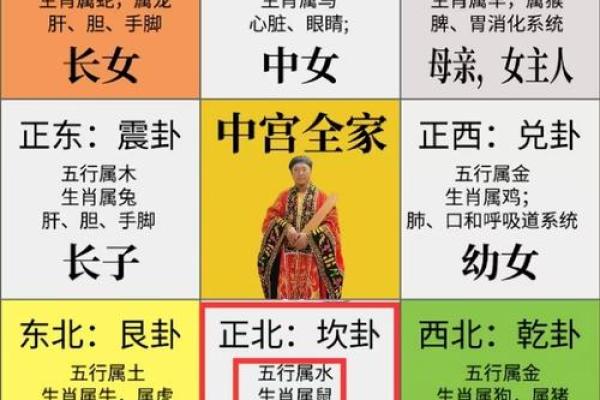 鼠年出生者的命星解析与人生智慧