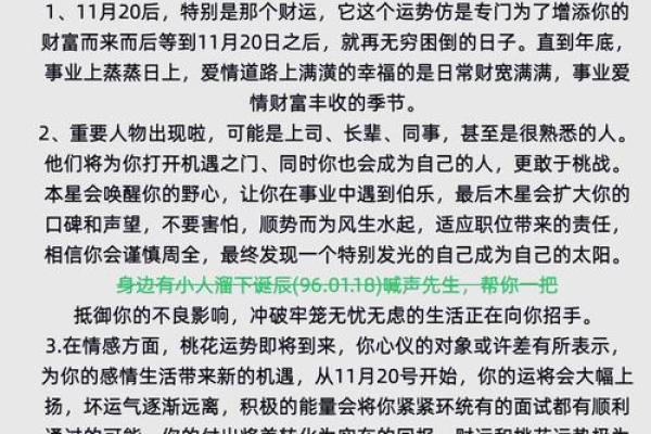 正月二六出生的属马人命运解析，揭示人生的精彩与挑战