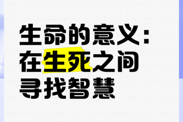 探索“把命消”的意义：生命哲学的深刻探讨