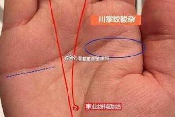 命理学中的红润手掌：运势与健康的微妙关联