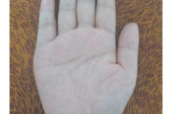 命理学中的红润手掌：运势与健康的微妙关联
