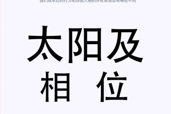 太阳坐命者的职业发展：适合哪些行业与岗位？
