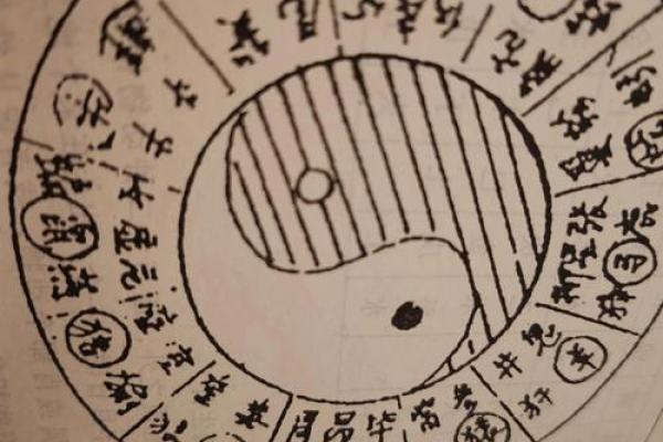 杨柳木命人与五行相合的奇妙之旅