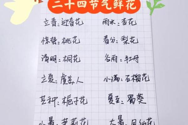 探秘命反桃花：缘分背后的深意与启示