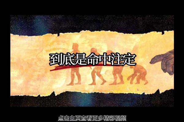 2006年出生男孩命运解析：命中注定的辉煌与挑战