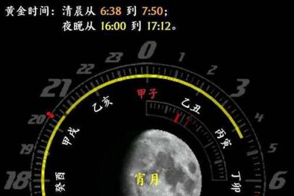 1982年正月十一的命运解析：细看这个特别日期的人生命运与性格